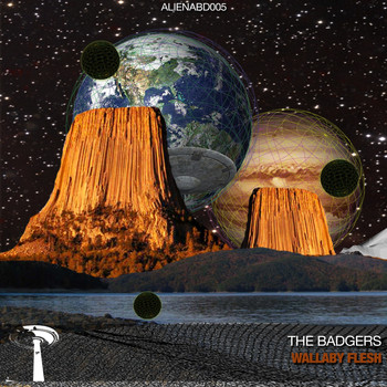 The Badgers - Wallaby Flesh