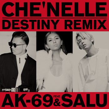 Che'Nelle - Destiny (Remix)