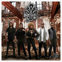 Black Seed - Ain't Nobody