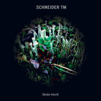 Schneider Tm - Skoda Mluvit