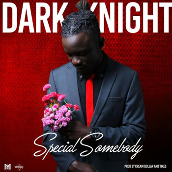 Dark Knight - Special Somebody