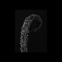 Death Qualia - Intention Versus