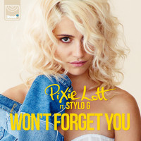 Pixie Lott - Won't Forget You