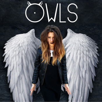 Owls - Yellow Flicker Beat