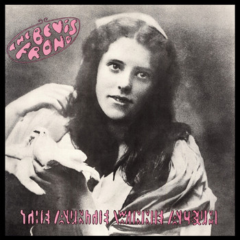 The Bevis Frond - The Auntie Winnie Album