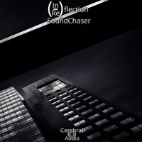Soundchaser - (In/Re)flection