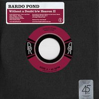 Bardo Pond - Without a Doubt