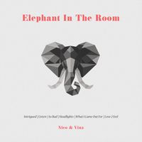 Nico & Vinz - Elephant in the Room