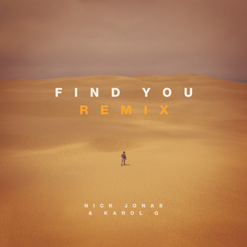 Nick Jonas / Karol G - Find You (Remix)