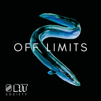 8 Bit Society - Off Limits