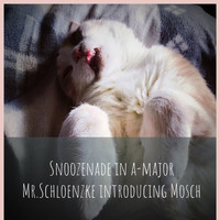 Cate Evens - Snoozenade in a-major / Mr.Schloenzke introducing Mosch