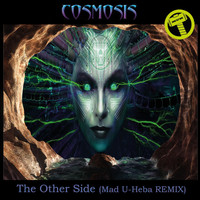 Cosmosis - The Other Side