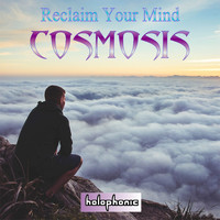 Cosmosis - Reclaim Your Mind