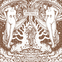 Spectrale - ▲1