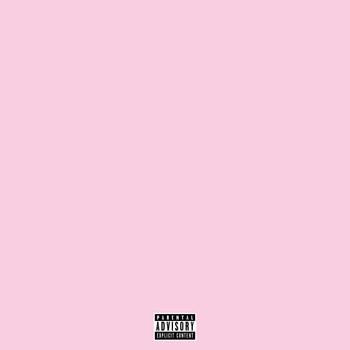 Cam'Ron - The Program (Explicit)