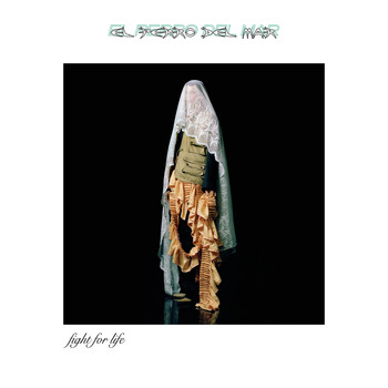 El Perro Del Mar - Fight For Life