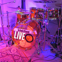 ScholzBand - Live + Intim