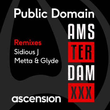 Public Domain - Amsterdam (The Remixes)