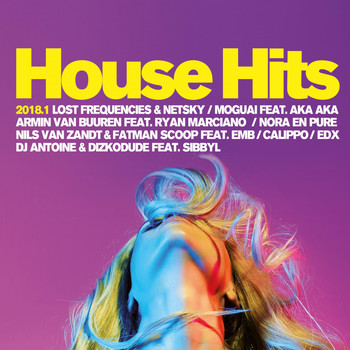 Various Artists - House Hits 2018.1