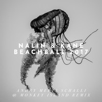 Nalin & Kane - Beachball (Andry Meets Schalli @ Monkey Island Remix)