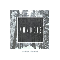 Numbers - Between Phenomena