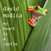 David Modica - My Heart is a Castle