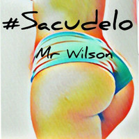 Mr Wilson - Sacudelo