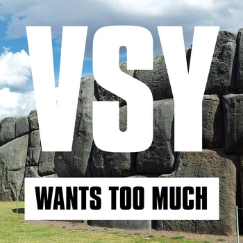 VSY - Wants Too Much