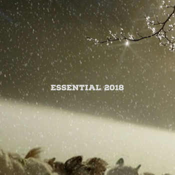 Various Artists - Essential 2018