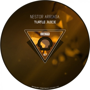 Nestor Arriaga - Turtle Juice