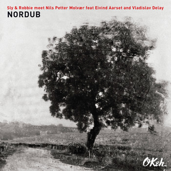 Sly & Robbie + Nils Petter Molvaer + Eivind Aarset + Vladislav Delay - Nordub