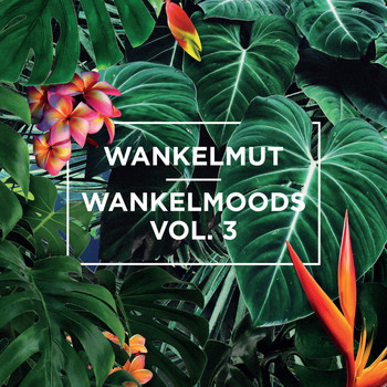 Various Artists - Wankelmoods, Vol. 3