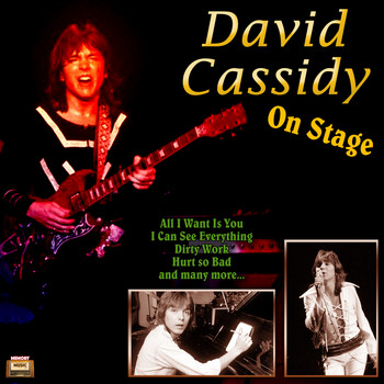 David Cassidy - On Stage