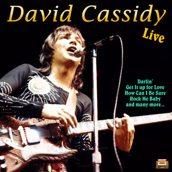 David Cassidy - David Cassidy Live