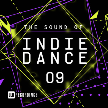 Various Artists - The Sound Of Indie Dance, Vol. 09 (Explicit)