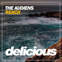 The Audiens - Reach
