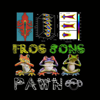 DJ P.A.W.N. (Joseph Reese) - Frog Song