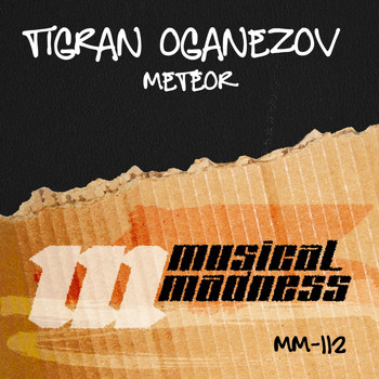Tigran Oganezov - Meteor