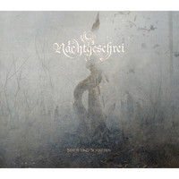 Nachtgeschrei - Staub und Schatten