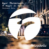 Igor Pantereech - A Night in Paris (Rotchellett Remix)
