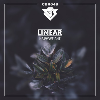 Linear - Heavyweight