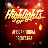 African Tribal Orchestra - Highlights of African Tribal Orchestra