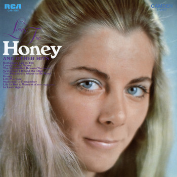 Living Trio - Honey and Other Hits