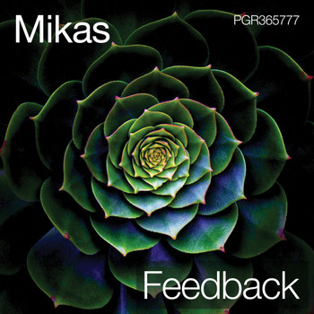 Mikas - Feedback