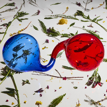 Dirty Projectors - Break-Thru