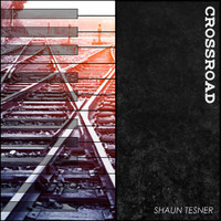Shaun Tesner - Crossroad