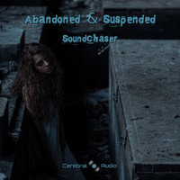 Soundchaser - Abandoned & Suspended