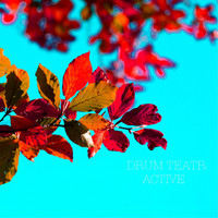 Drum Teatr - Active