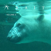 The Hillisbillys - Trait, Vol. 2