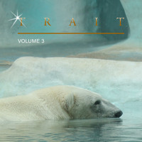 The Hillisbillys - Trait, Vol. 3